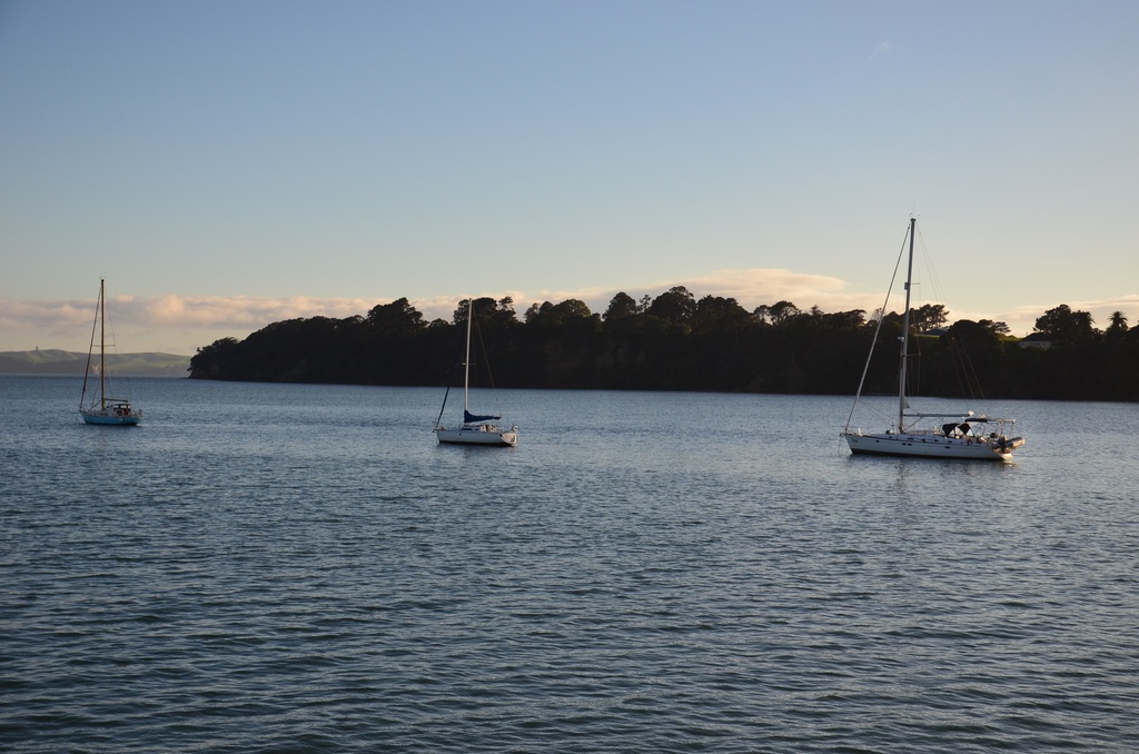 2017-03 New Zealand/Rangitoto/DSC_0078.JPG